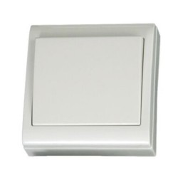 Interruptor 10A Focus Superficie