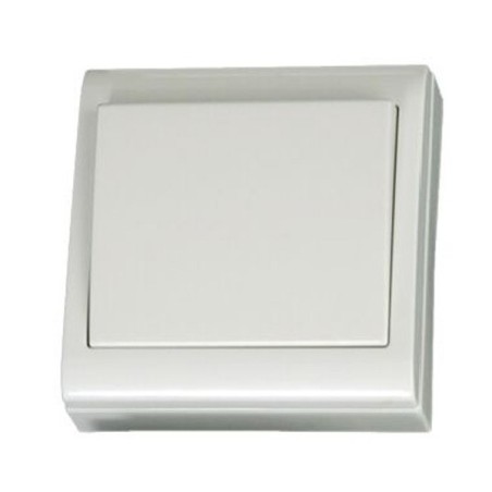 Interruptor 10A Focus Superficie