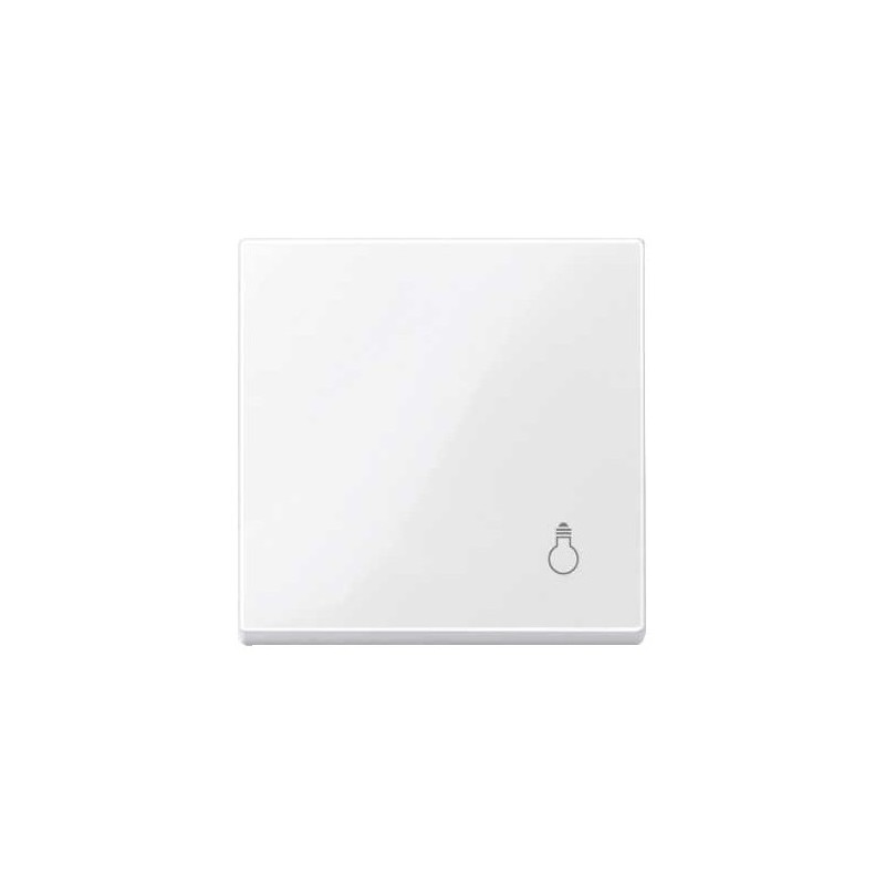 tecla-pictograma-luz-elegance-schneider-mtn438919-438925-439914-439960