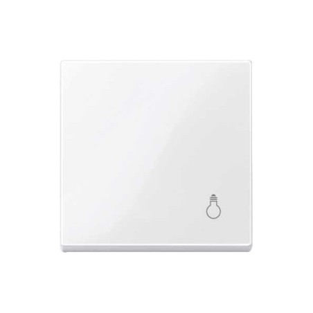 tecla-pictograma-luz-elegance-schneider-mtn438919-438925-439914-439960