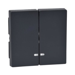 tecla-doble-con-visor-elegance-schneider-mtn342-0325-mtn3420-0460-mtn3420-0414-MTN3420-0319
