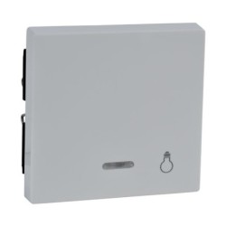 tecla-pictograma-luz-con-visor-luminoso-elegance-schneider-mtn435925-mtn435919-mtn430914-mtn430960