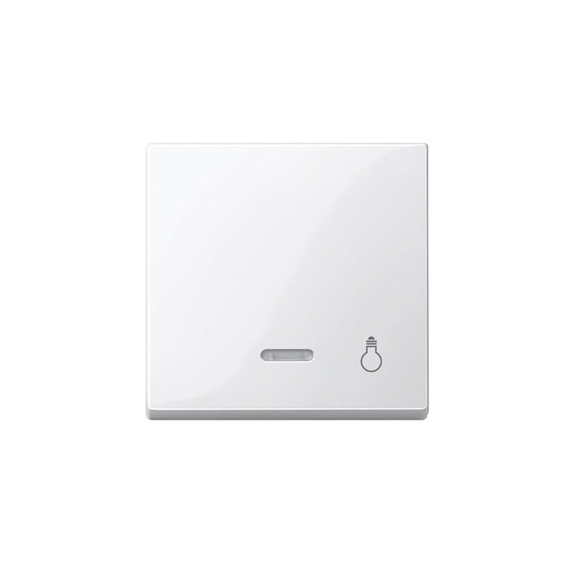 tecla-pictograma-luz-con-visor-luminoso-elegance-schneider-mtn435925-mtn435919-mtn430914-mtn430960