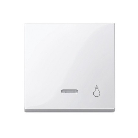 tecla-pictograma-luz-con-visor-luminoso-elegance-schneider-mtn435925-mtn435919-mtn430914-mtn430960