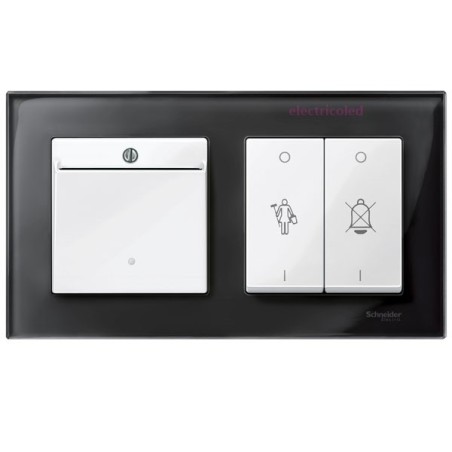 tapa-interruptor-tarjeta-con-visor-luminoso-hotel-elegance-schneider-mtn315625-315619-315414-315460