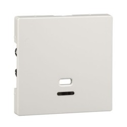 tapa-interruptor-tirador-con-visor-elegance-schneider-mtn3380-0319