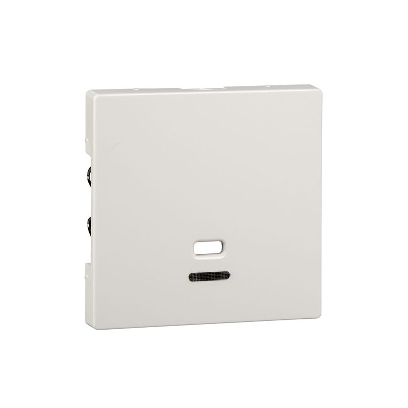 tapa-interruptor-tirador-con-visor-elegance-schneider-mtn3380-0319