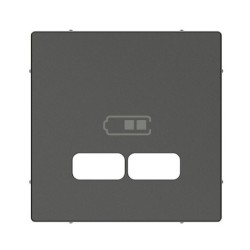 tapa-para-toma-usb-doble-elegance-schneider-mtn4367