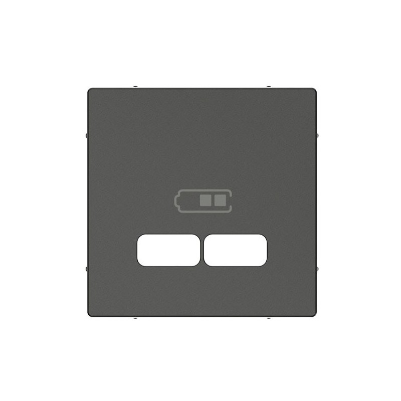 tapa-para-toma-usb-doble-elegance-schneider-mtn4367