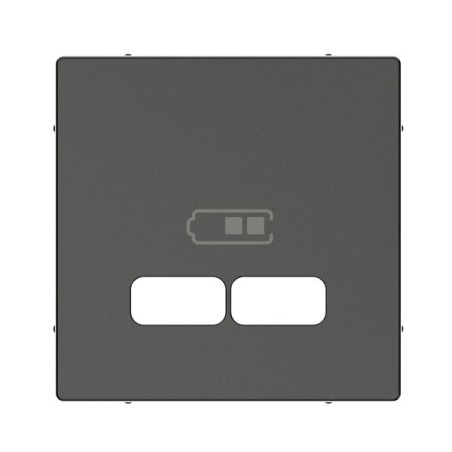 tapa-para-toma-usb-doble-elegance-schneider-mtn4367