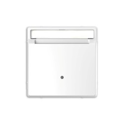 Interruptor Tarjeta con visor D-Life