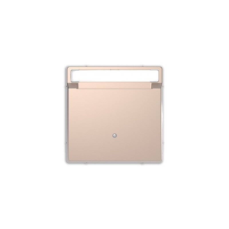Interruptor Tarjeta con visor D-Life