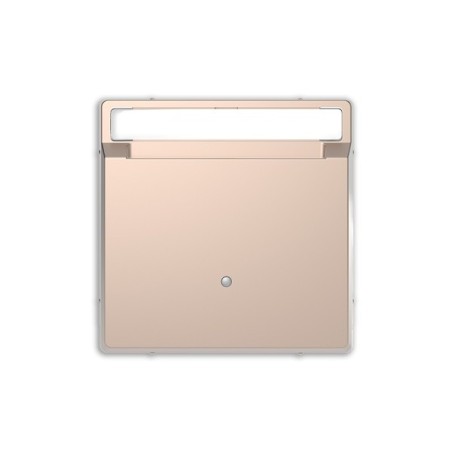 Interruptor Tarjeta con visor D-Life