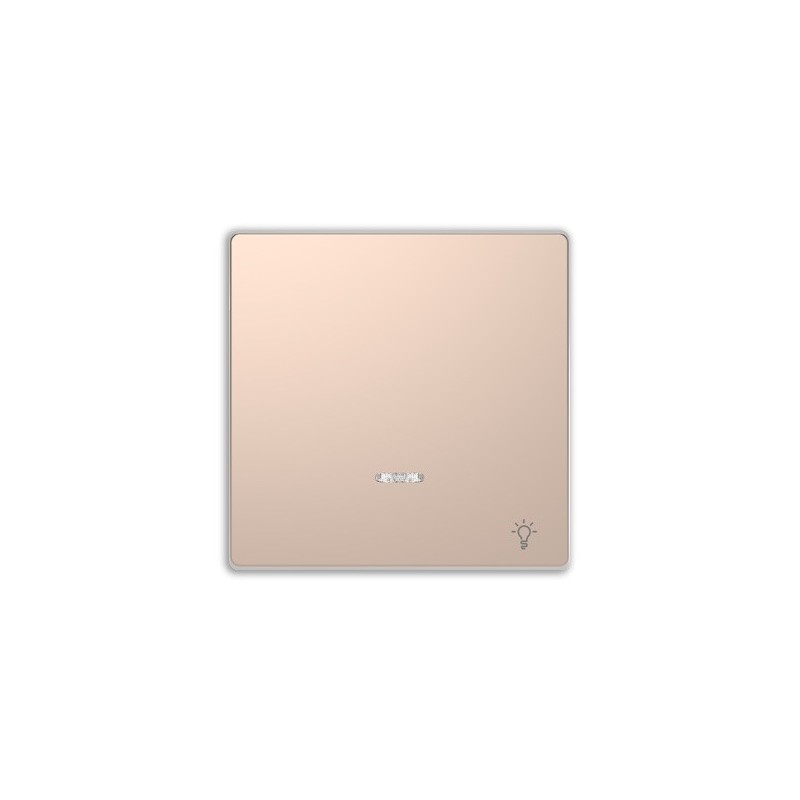 Tecla "Luz" Visor D-Life