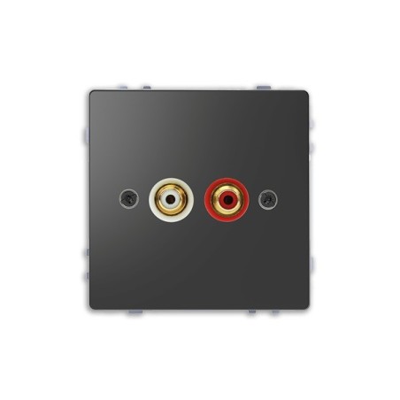 Toma audio con tapa 2 RCA D-Life Schneider MTN4350-6034 Antracita