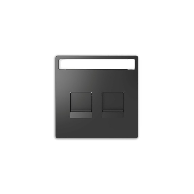 Tapa RJ45 doble Keystone D-Life Schneider MTN4564-6034 ANTRACITA