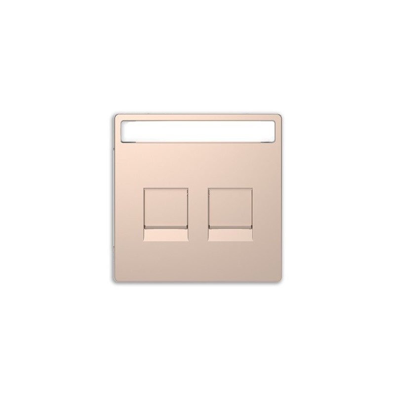 Tapa RJ45 doble Keystone D-Life Schneider MTN4564-6051 CHAMPAGNE