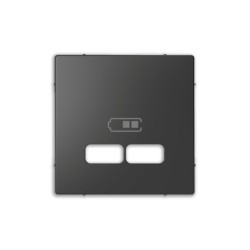Tapa cargador USB doble D-Life 2
