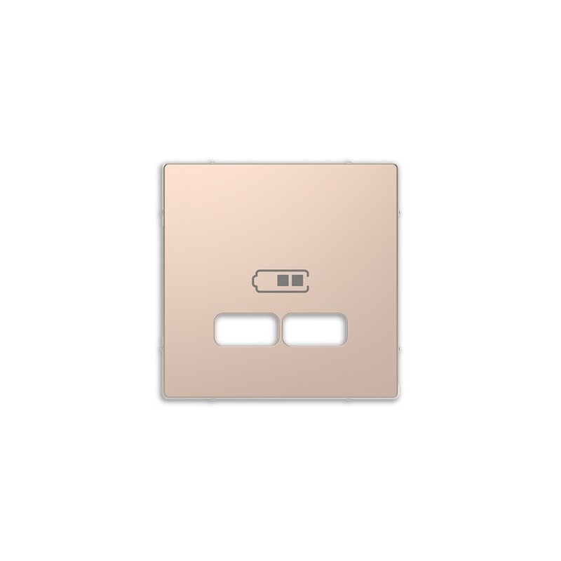 Tapa cargador USB doble D-Life