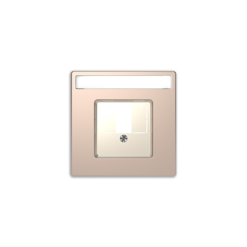 Tapa conector Multimedia D-Life Schneider MTN4250-6051 CHAMPAGNE