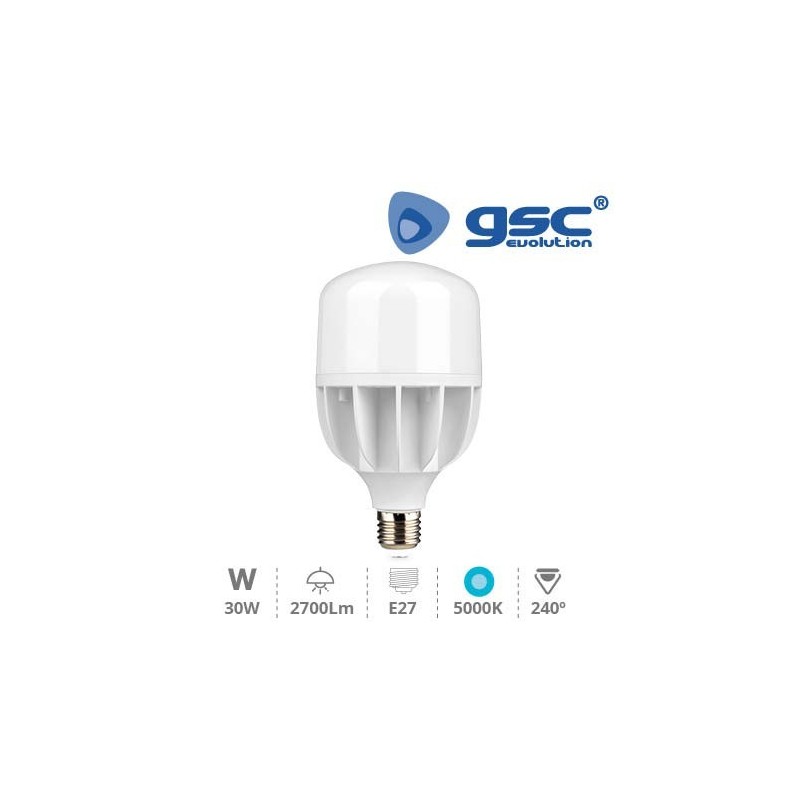 Bombilla LED E27 T100 30w 5000K