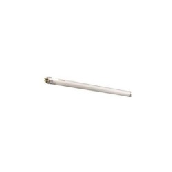 Tubo Fluorescente T5 6w Luz Día