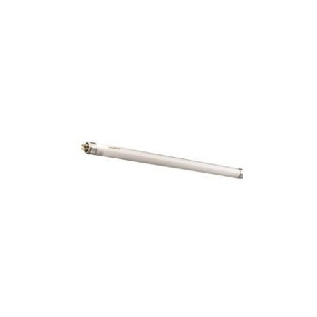Tubo Fluorescente T5 6w Luz Día