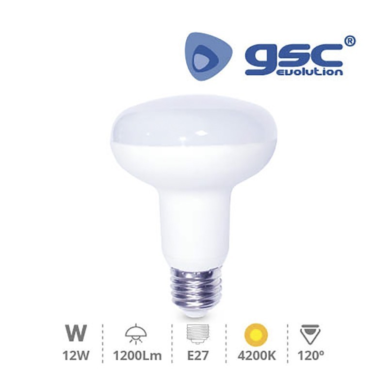 Bombilla LED E27 R90 12w 4200K