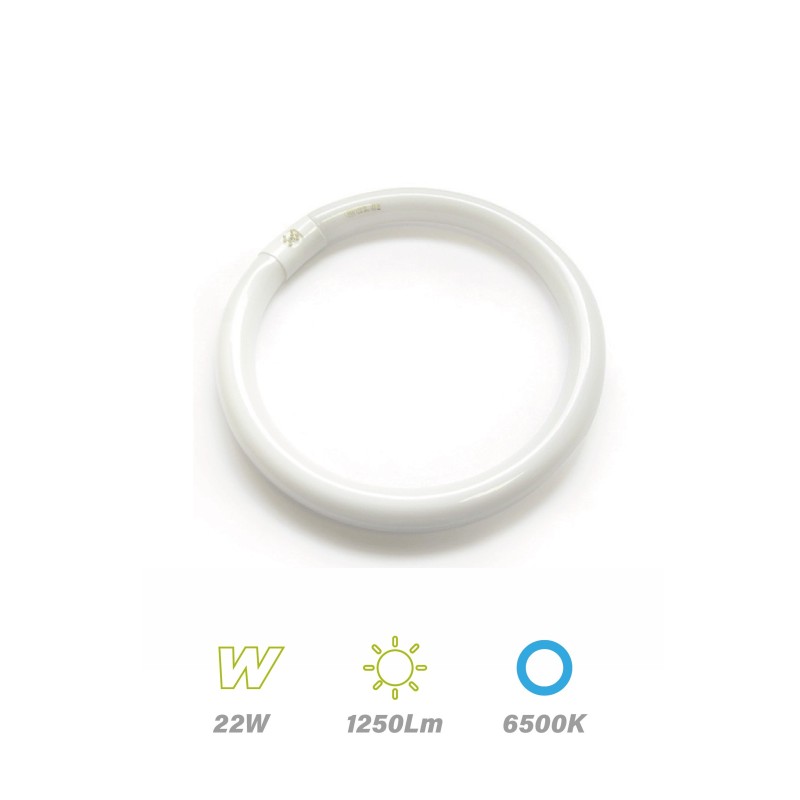 Tubo Circular TL-E 22w 6500K