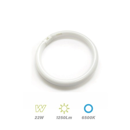 Tubo Circular TL-E 22w 6500K