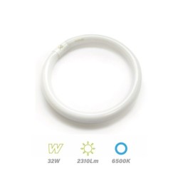 Tubo Circular Fluorescente 32w 6500K