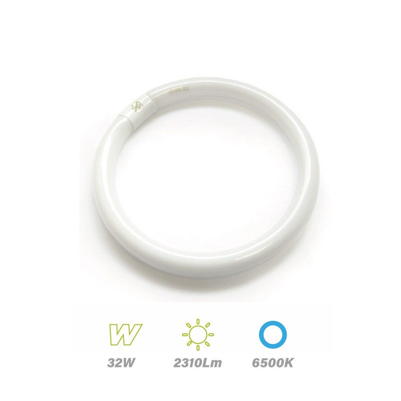 Tubo Circular Fluorescente 32w 6500K