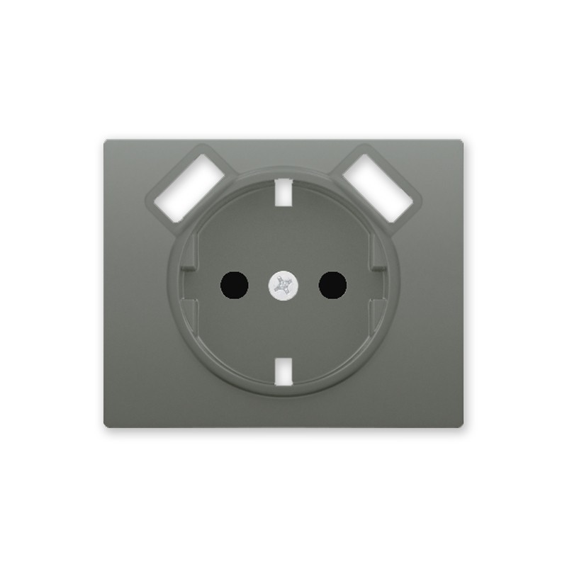 Tapa Enchufe Schuko 2 USB Acero Neptuno IRIS