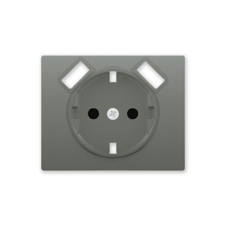 Tapa Enchufe Schuko 2 USB Acero Neptuno IRIS