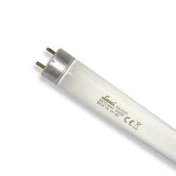 Tubo Fluorescente 36w 6500K