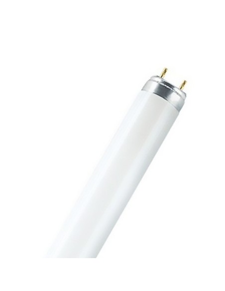 Tubo Osram 36w/865 120cm