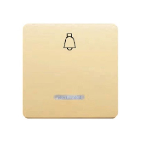 tecla-ancha-con-difusor-luminoso-pictograma-timbre-sol-bjc-17716-L-AL-ML-electricoled