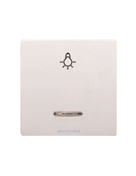 tecla-ancha-difusor-luminoso-pictograma-luz-sol-bjc-17717-L-electricoled