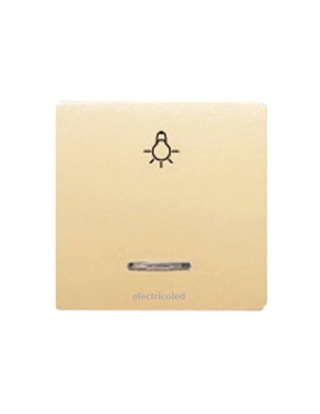 tecla-ancha-difusor-luminoso-pictograma-luz-sol-bjc-17717-L-electricoled