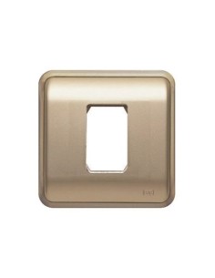 Placa 1 elemento estrecho con bastidor para caja antigua BJC serie Estrella