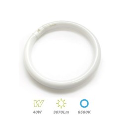 Tubo Circular TL-E 40w 6500K