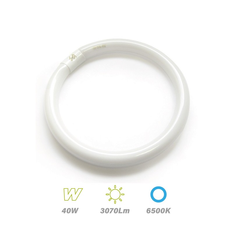 Tubo Circular TL-E 40w 6500K