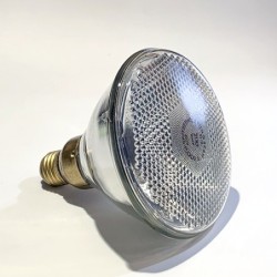 Bombilla PAR 38 125V 100W E27