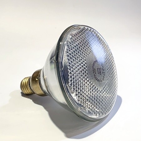 Bombilla PAR 38 125V 100W E27