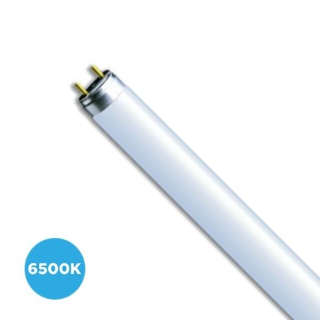 Tubo Trifósforo Fluorescente Osram 18w/865 60cm