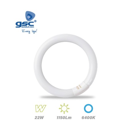 Tubo Fluor Circular 22w 6400K